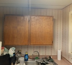 House Paint-Wall and Trim-No Ceilings